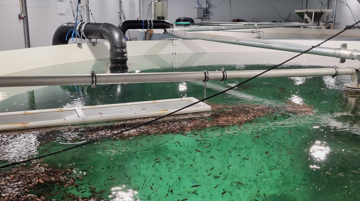 Total gas control system